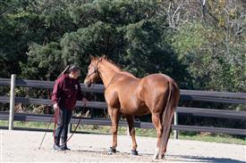 LR-WRF 10182025 Retreat-6494